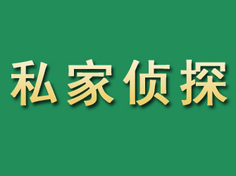 商河市私家正规侦探